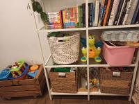The library in Az apartmant