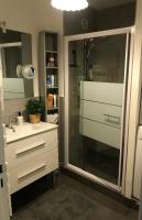 a bathroom with a shower and a white sink at Appartement T2 Manoir de Malville in Nantes