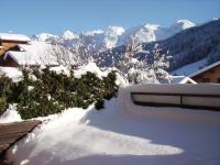 Studio cosy avec terrasse au centre du Grand-Bornand, proche des pistes et commerces - FR-1-467-83 v zime