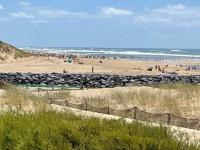 a beach with a crowd of people and the ocean at Apartment L&#39;Oustalet-3 by Interhome in Mimizan-Plage