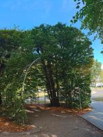 Plán poschodí v ubytovaní Apartment prywatny w Hotelu Diwa w strefie kurortowej z klimatyzacja i Parkingiem wcentrum Kolobrzegu