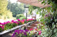 een rij bloembakken met paarse en roze bloemen bij Hotel-Gasthof Huber in Ebersberg