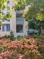 Zahrada ubytování Mangroovy Gouna 1 BR apartment