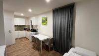 Kuchyň nebo kuchyňský kout v ubytování Apartment Golden Prague 78