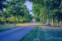 un camino vacío en un parque con árboles en Pferdeparadies Untergrünhagen, en Bad Fallingbostel