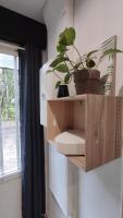 a wooden shelf with a plant on a wall at Logement entier proche des châteaux - 1 à 6 Pers - in Barsac