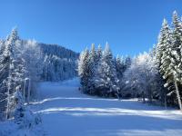 Půdorys ubytování COZY ski-to-door apartment, Monastery 3 complex