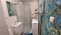 Kúpeľňa v ubytovaní Apartament Poselska