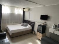 TV a/nebo společenská místnost v ubytování antik sofia hotel