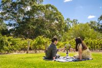 Gæster der bor på Reillys Wines Heritage Cottages