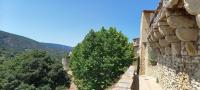 two trees on the side of a stone wall at Charming Village Getaway in Bonnieux in Bonnieux