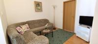 TV a/nebo společenská místnost v ubytování Apartments Bresina
