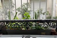 a balcony with a bunch of plants at Charming apartment in the heart of Paris in Paris