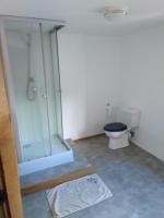 ein Bad mit einer Glasdusche und einem WC in der Unterkunft Chambre d&#39;hôtes de puy faucher in Arrènes