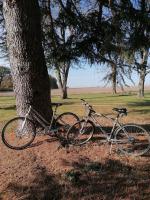 a bike parked next to a tree in a field at LE BLANC, AGREABLE MAISON DE CENTRE VILLE in Le Blanc