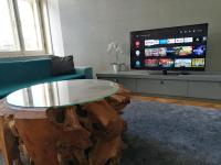 TV a/nebo společenská místnost v ubytování Bellevue Apartment