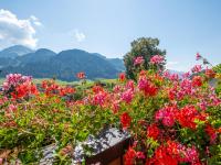 a garden of flowers with mountains in the background at Obinghof in Söll
