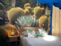 Plán poschodí v ubytovaní Luxury Jardin Majorelle paris orly avec jacuzzi