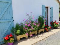 a row of flowers in pots in front of a building at La Blatière French Cottages in La Chapelle-Saint-Étienne