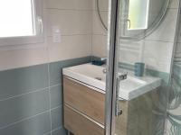 a bathroom with a sink and a shower at Gîte La Flèche, 4 pièces, 6 personnes - FR-1-410-424 in La Flèche