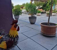 a chicken is standing next to a potted plant at La Maison Thébaïde in Mortagne