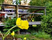 a yellow flower in front of a wooden bench at La Maison Thébaïde in Mortagne
