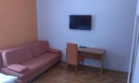 Televízia a/alebo spoločenská miestnosť v ubytovaní Guest House Villa Herbarium