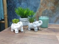 three white elephant figurines sitting on a table with plants at Bali Dream II Hyper Centre Fontaine Moussue in Salon-de-Provence
