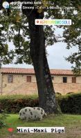 Plán poschodí v ubytovaní Agriturismo Sole