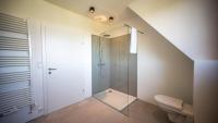 a bathroom with a glass shower and a toilet at Öko-Neubau Ferienhaus - KOGELBUCH COMFORT in Nestelbach bei Graz