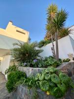 Zahrada ubytování Villa Oasis La Paz - Pelicar Apartment - ADULTS ONLY -