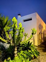Zahrada ubytování Villa Oasis La Paz - Pelicar Apartment - ADULTS ONLY -