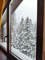 Borovets Dream Studio v zimě