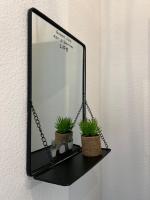a mirror hanging on a wall with two plants at Mon Cocon Occitan - 2p - Wifi &amp; Parking in Colomiers