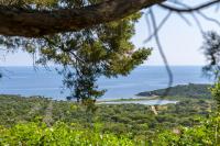 a view of the ocean from a tree at Camping U Pirellu in Porto-Vecchio