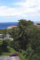 a red car parked next to a palm tree at Appartement Zen et Mer des Caraïbes in Schœlcher