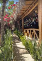 维加伊托Kasa Pelikanos的花园,带花木凉亭