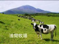 別荘の敷地内または近くにいる動物