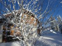 a tree covered in snow next to a house at Chalet Beaujon Chapelle-des-Bois in Chapelle-des-Bois