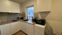 Kuchyň nebo kuchyňský kout v ubytování Apartment Golden Prague 78