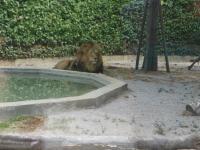 Vonkajšia záhrada v ubytovaní La Duna