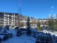 Cosy studios with mountain view near Bansko v zimě
