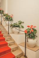 a group of potted plants on the stairs at Hotel Poseidon in Positano
