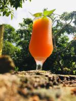 un verre de jus d'orange avec une feuille au-dessus dans l'établissement Rancho Caiçara, à São Francisco do Sul