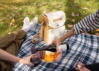 due persone sedute su una coperta con un piatto di cibo e vino di AutoCamp Asheville ad Asheville