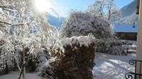 Les Alpins - Centre de Chamonix - Rénové avec Jardin et vue imprenable sur le MontBlanc v zime