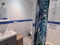 a bathroom with a sink and a shower curtain at Guestroom Briare, 1 pièce, 2 personnes - FR-1-590-369 in Briare