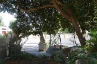 A garden outside Giardini Sausari Residence