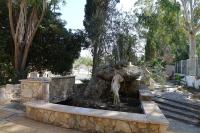 A garden outside Giardini Sausari Residence