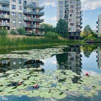 Výhľad na rieku v blízkosti apartmánu